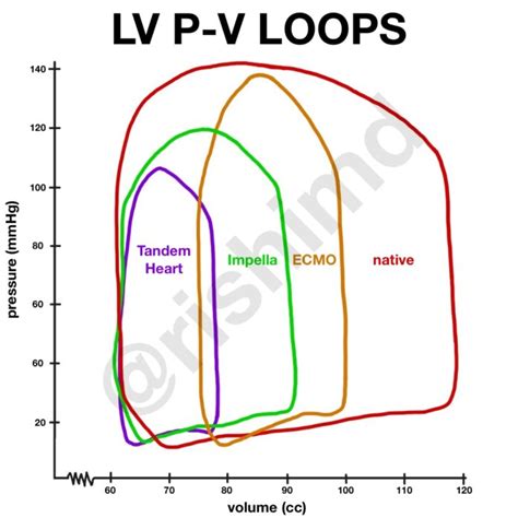 lv pressure volume loop|Lv volume loop diagram.